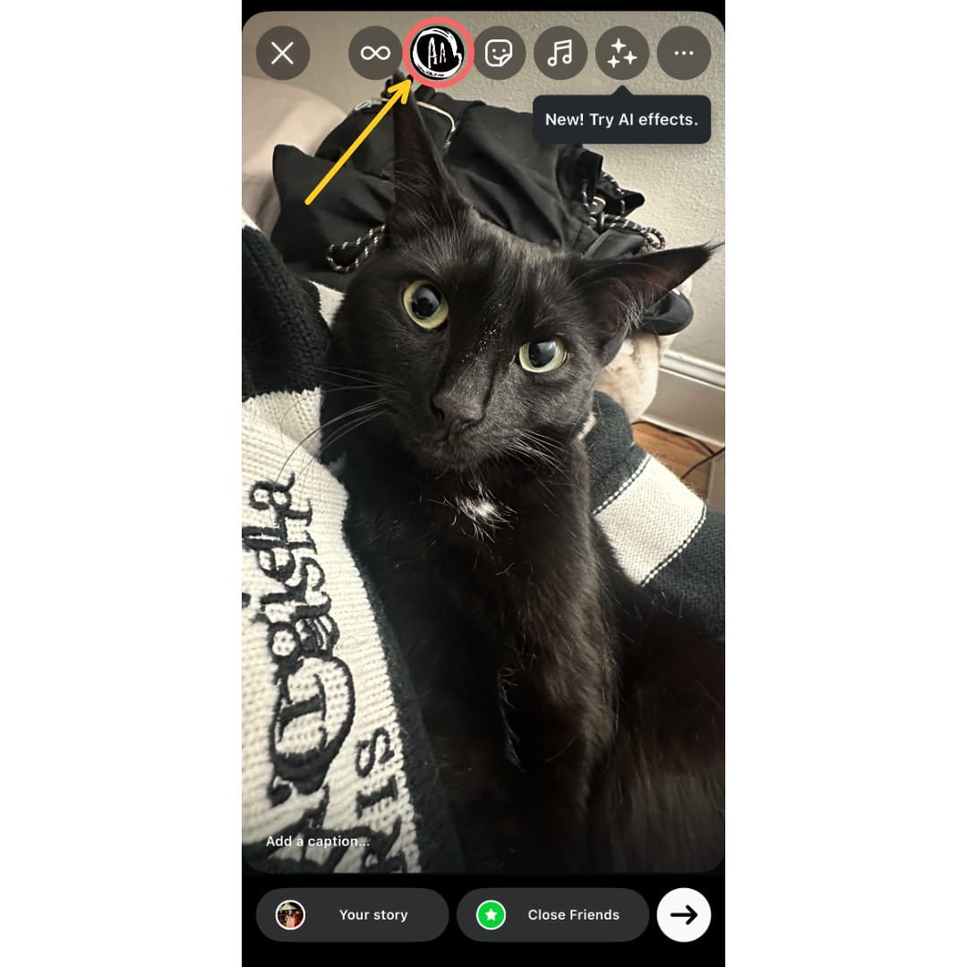 A screenshot showing the Story editing interface, with a circle around the "Aa" icon