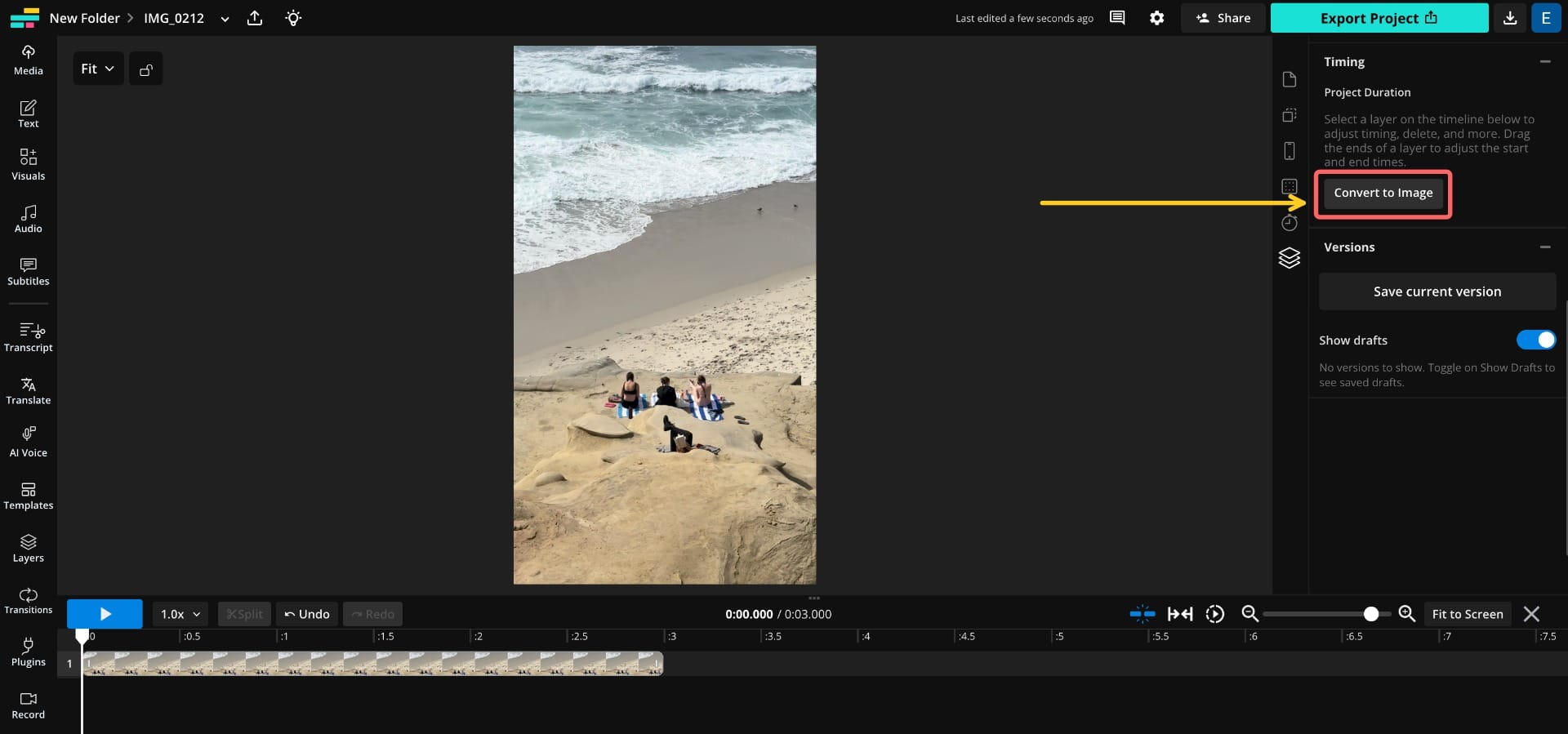 A screenshot showing the Kapwing editor with a circle around the button that says "Convert to Image"