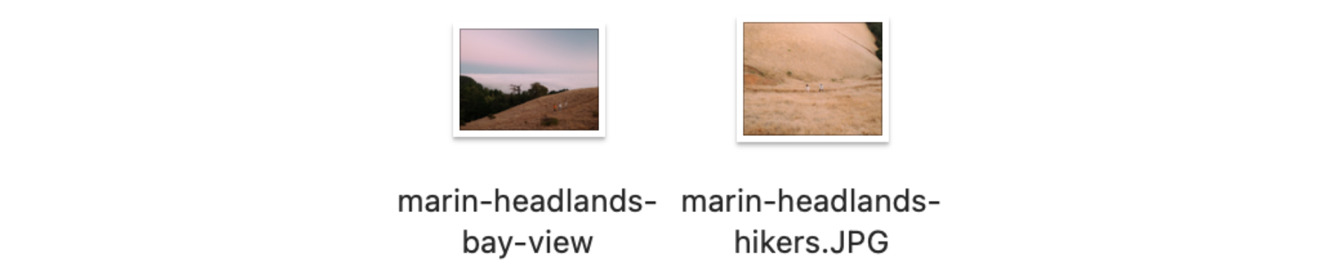 A screenshot showing an example of two descriptive file names.