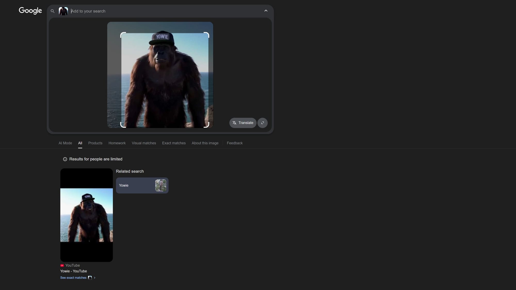 Example reverse video search results using Google Lens. 