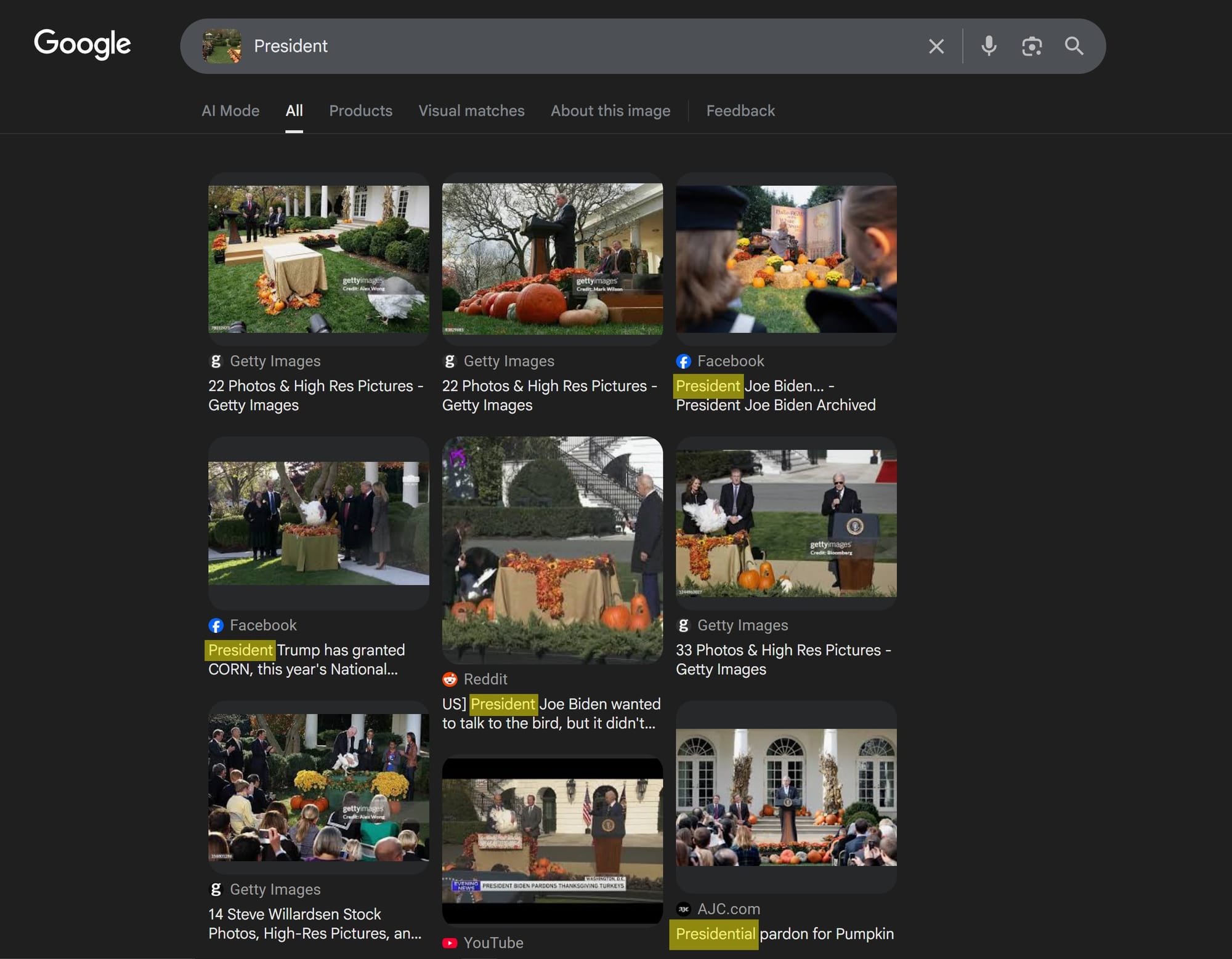 Google Lens search results when reverse video searching with text. 