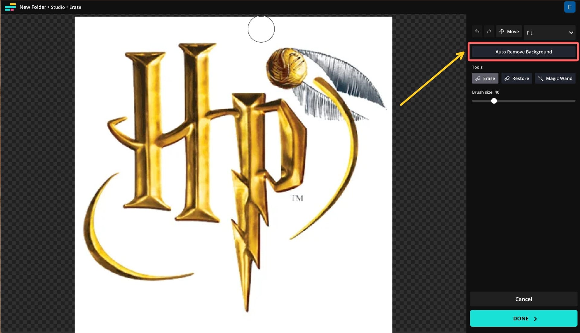 A screenshot showing the editing menu with a circle around the Auto Remove Background button