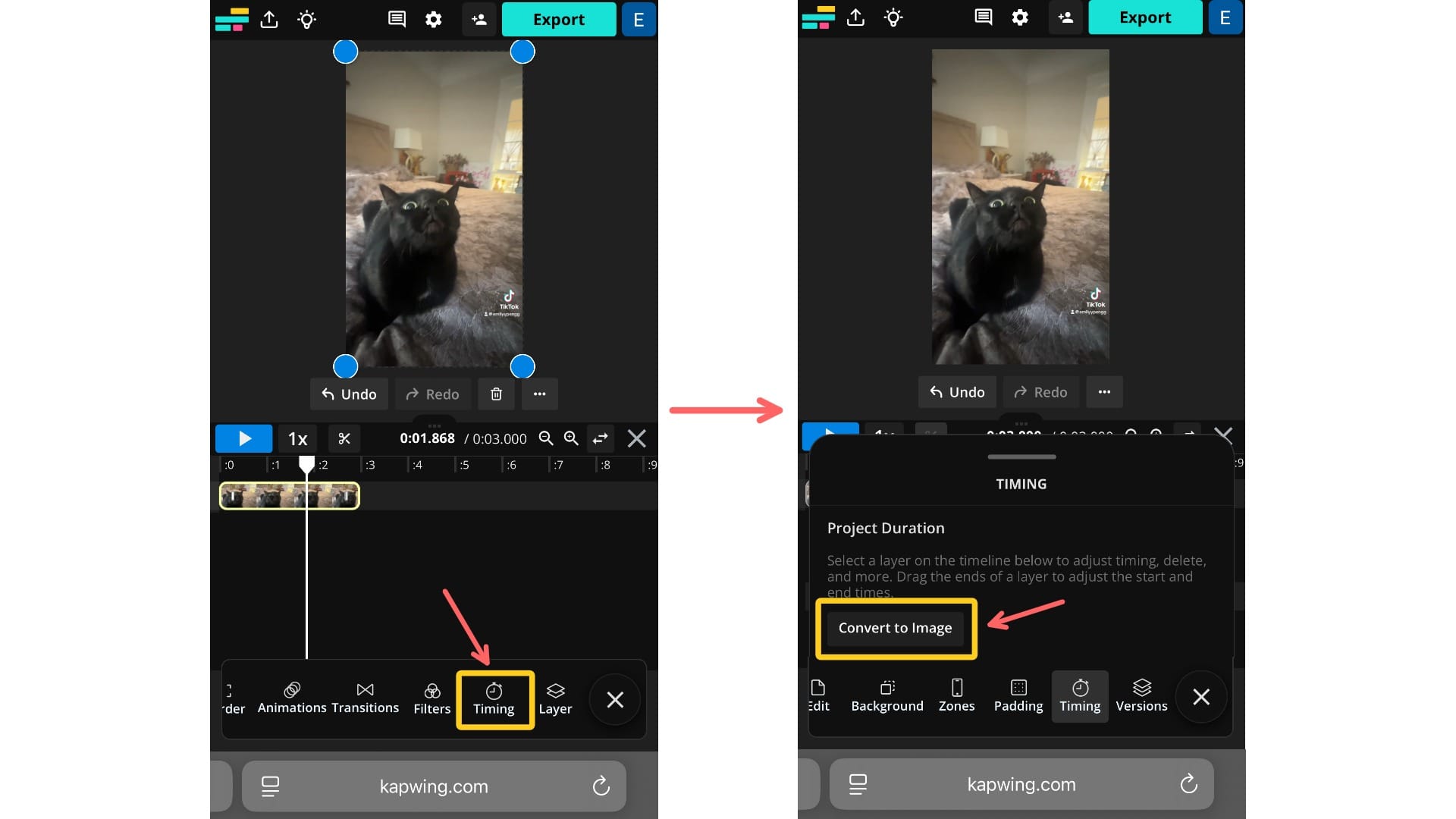 A screenshot showing how to convert a video to an image.