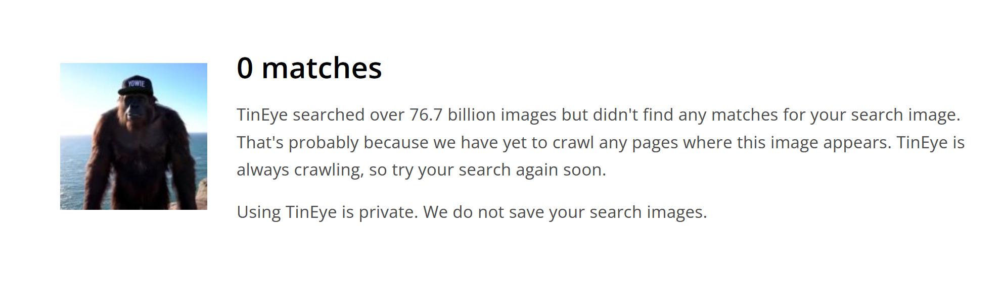 TinEye search results when trying to reverse video search a social media video. 