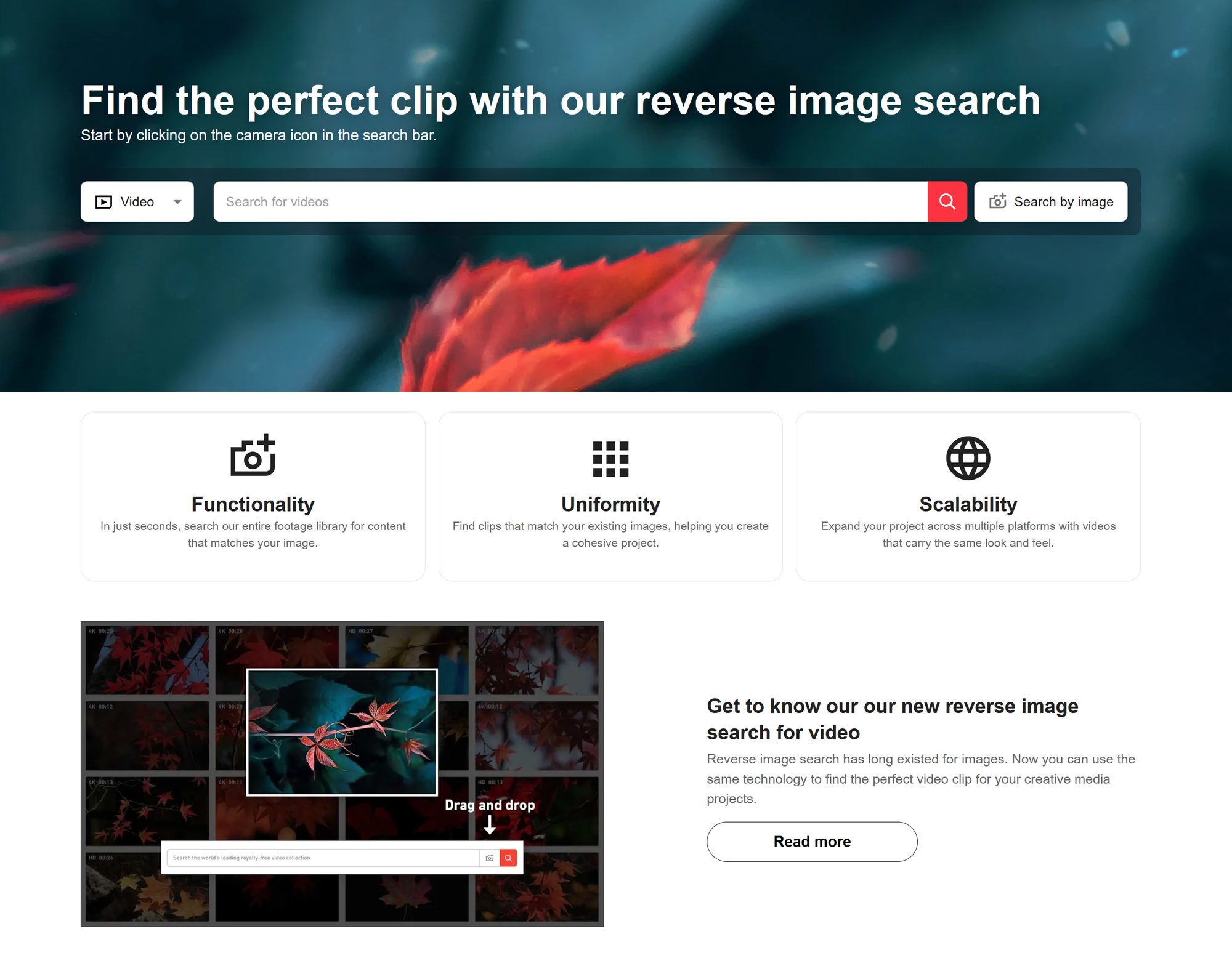 Shutterstocks video search tool for reverse video searching.