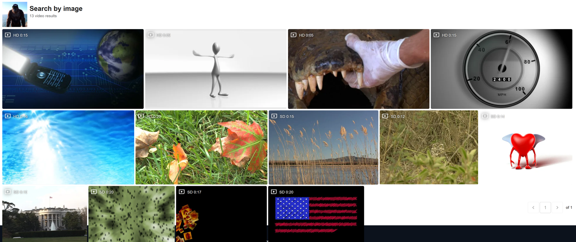 Shutterstock reverse image search results after trying to reverse video search using a still video frame. 