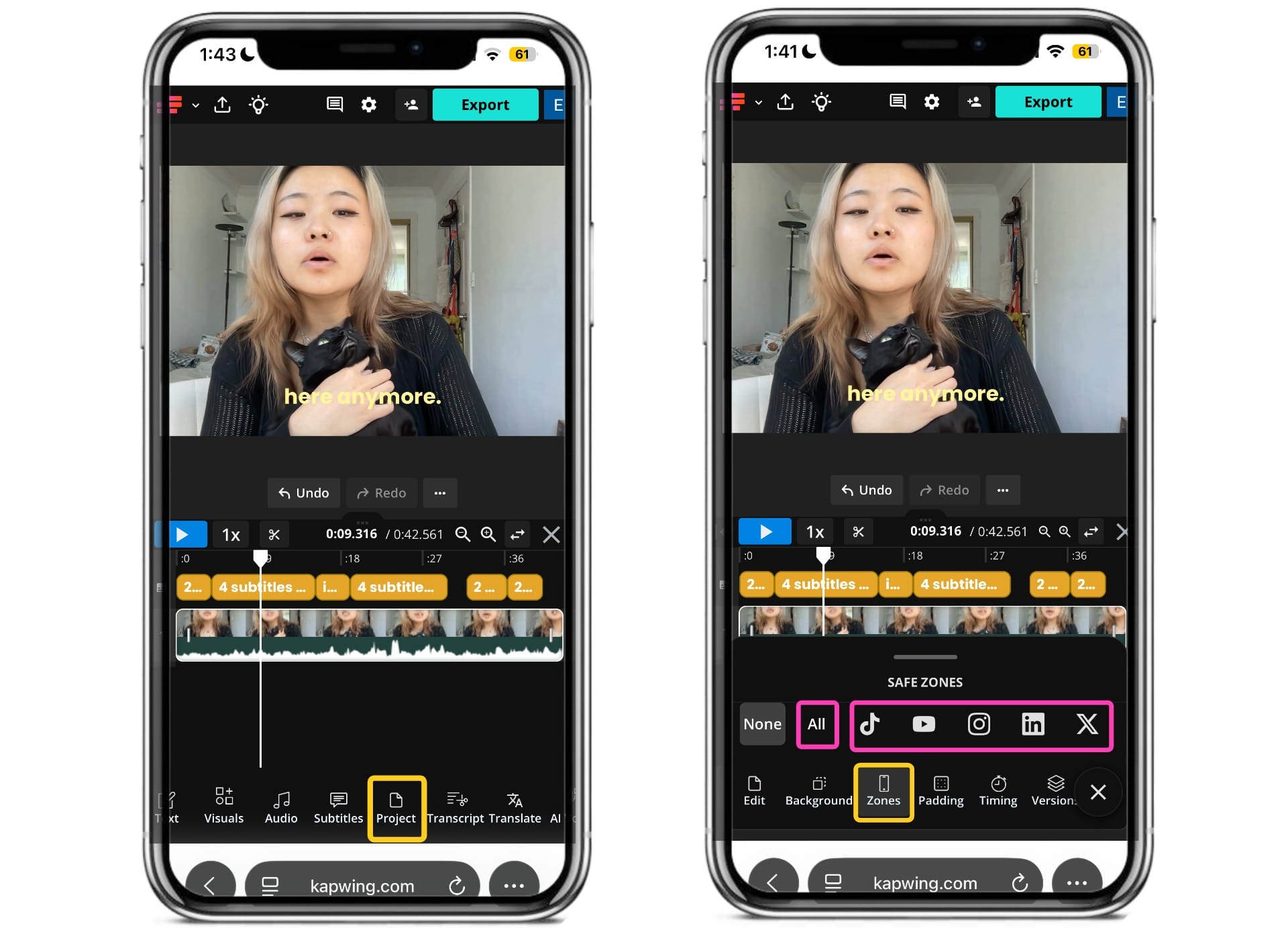 Kapwing Safe Zones overlay showing subtitle placement for TikTok, Instagram Reels, and YouTube Shorts.