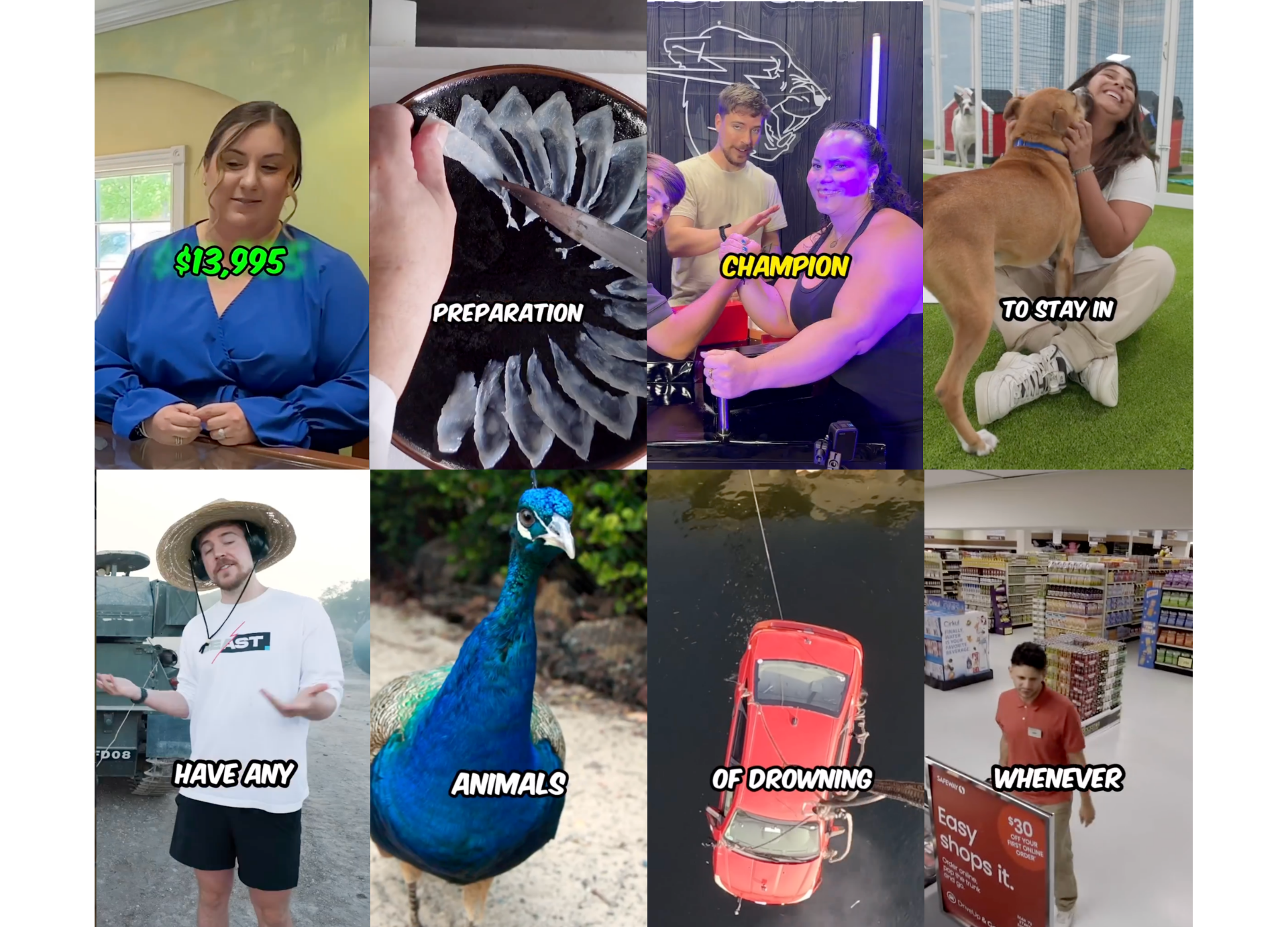 Examples of Beast-style subtitles with bold animated captions used in entertainment and challenge videos.