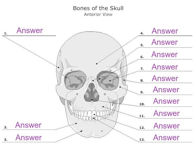 How to Create Your Own Labeled Worksheet to Support Content Memorization