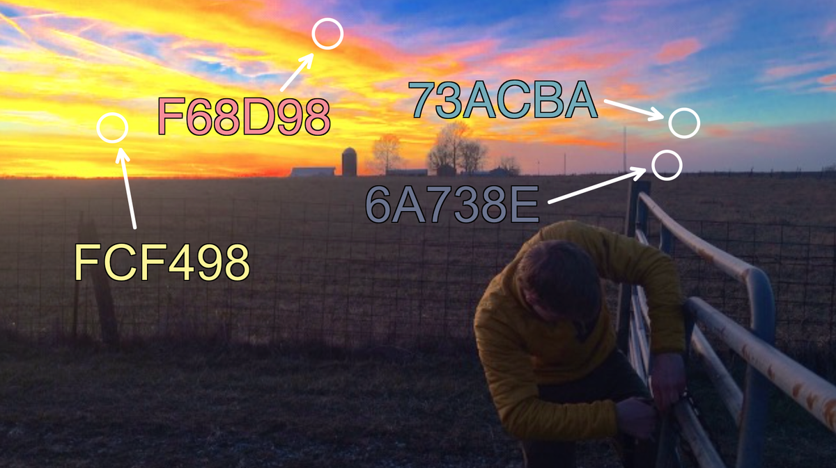 How to Get a Color Hex Code From Image or Video: Online Eyedropper Tool