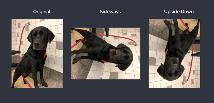 How to Turn a Video Sideways