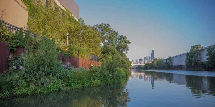 Using Videos to Kickstart a Nonprofit Startup