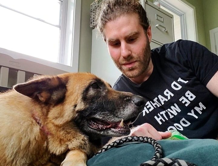 Growing a Pet Instagram