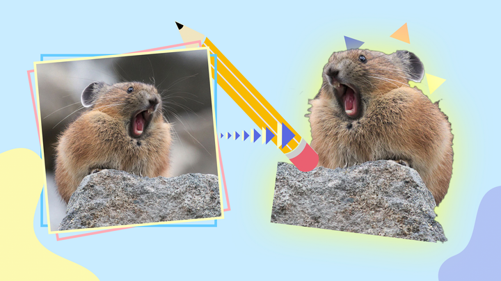 How to Remove the Background from Any Image