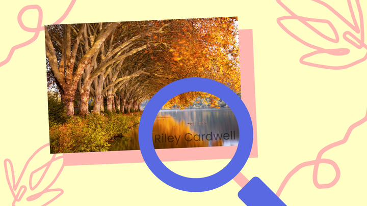 How to Add a Custom Transparent Watermark to Photos