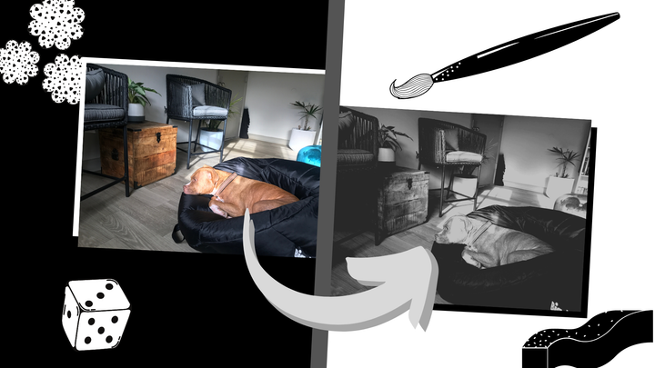 The Easiest Black and White Photo Editor Online