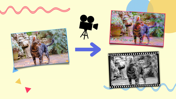 A cover photo showing examples of film effects on a stock image of a cat