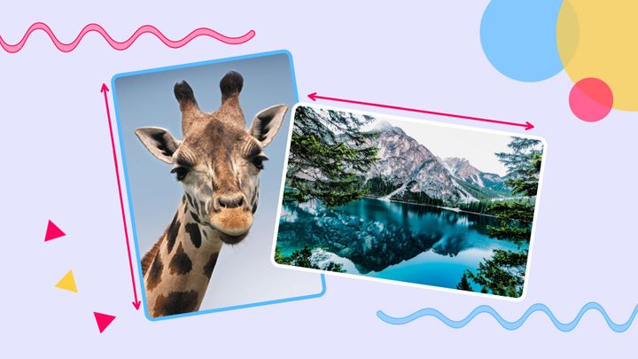 A graphic featuring images in portrait and landscape photo orientations. 