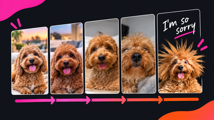 A progression of photos depicting a dog, with edits showing a more authentic image. The final image in the flow is a crazy edit of the dog depicting a visual punchline. 