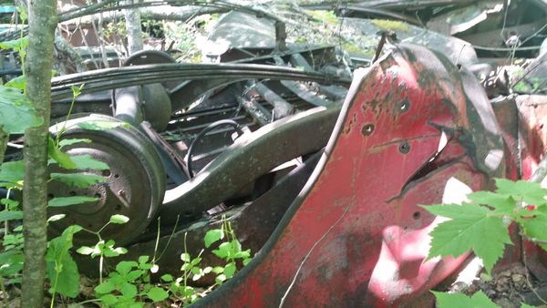 Photo of a broken-down and rusted car in the undergrowth of a forest. The car was red, but is now rusted.
