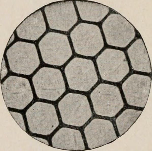 A slightly grainy image showing a circle filled with tiled hexagons. Between the grey hexagons are black lines.