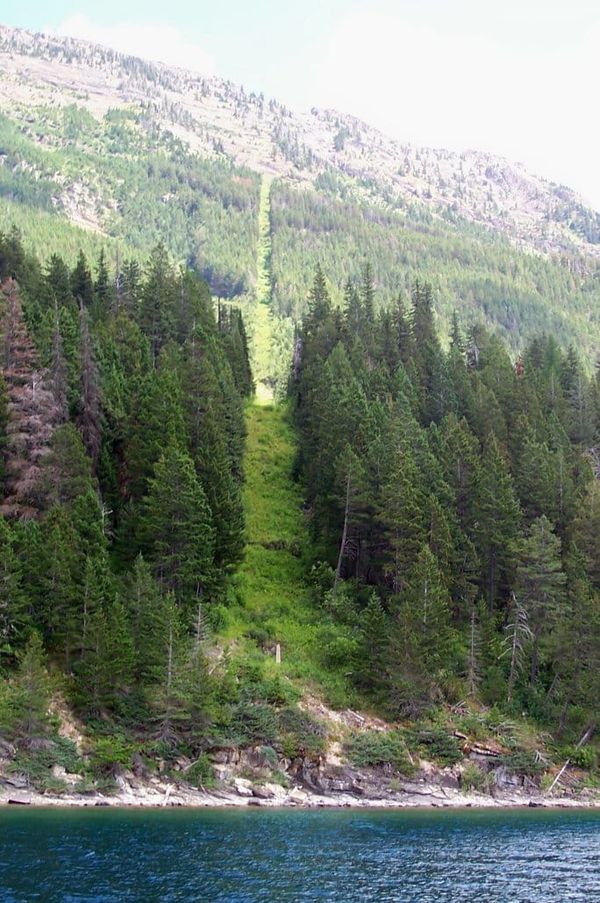 A forest on a hill, leading down to a lake. A straight line has been cleared through the middle, with grass marking a national border.