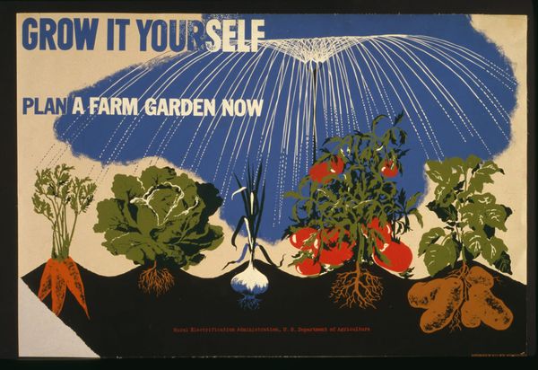 An illustrated poster showing several typed of vegetable growing. Text reads "Grow it yourself. Plan a farm garden now."