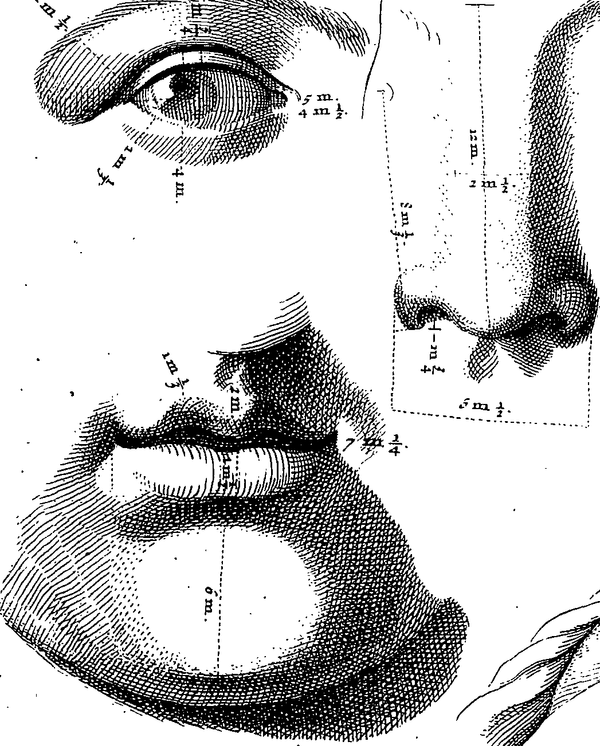 A black and white engraving of details of a human face. An eye, a mouth and chin, a nose. All have small measurements on them.