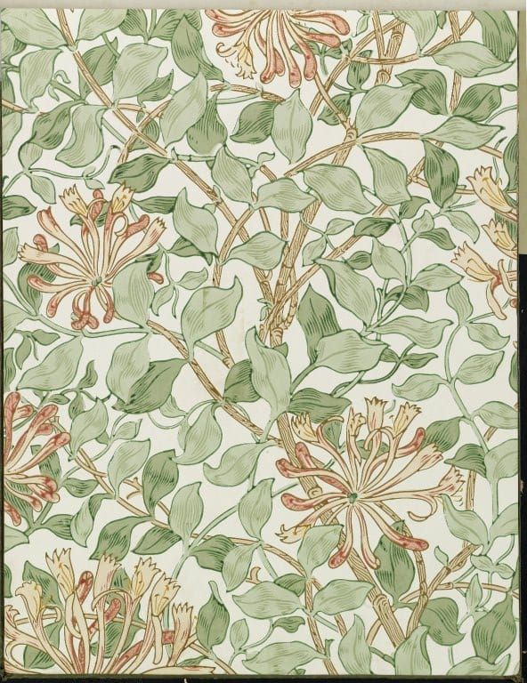 Photo of a piece of wallpaper in light green and reddy-brown shades, depicting honeysuckle plants.
