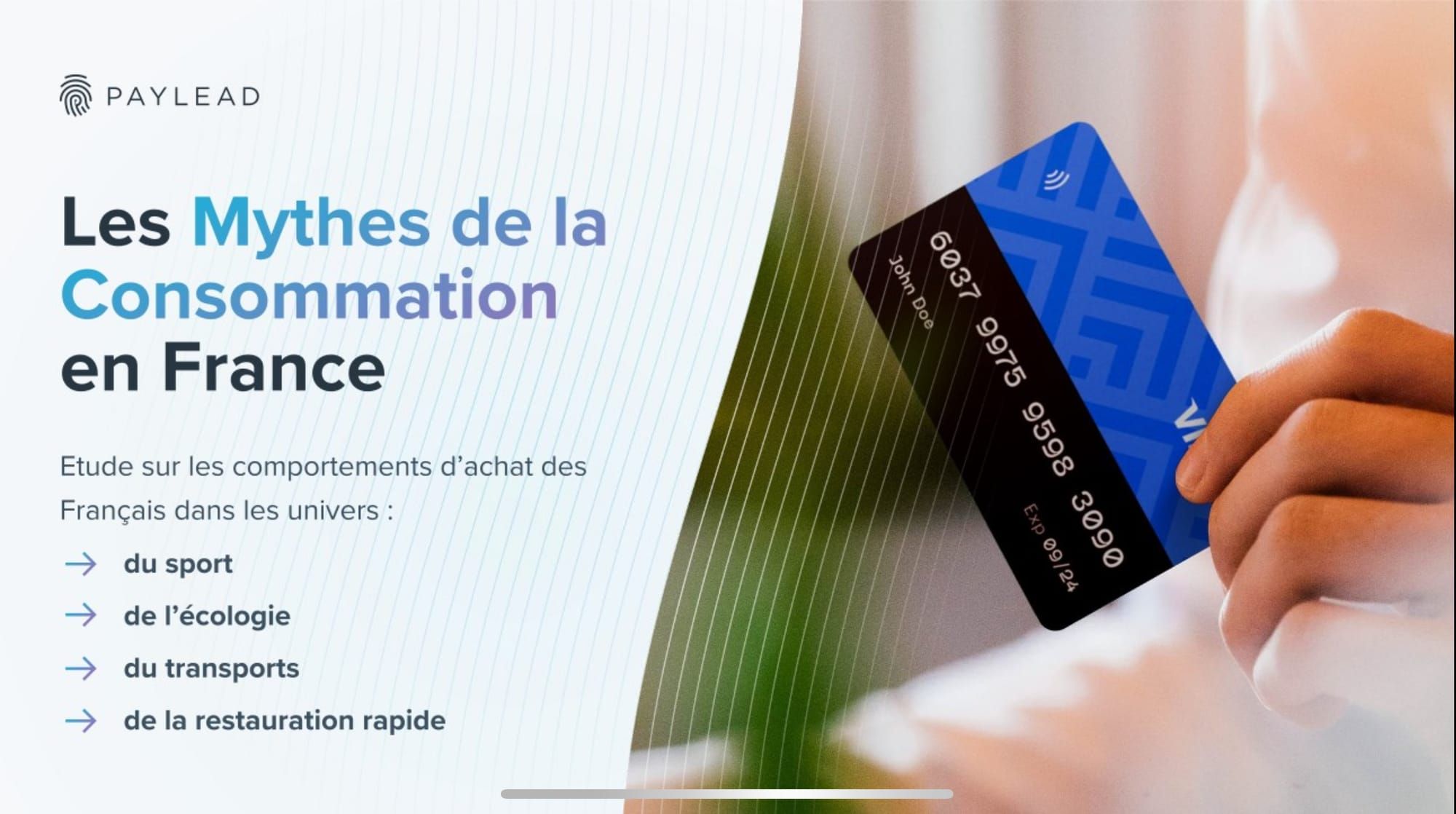 Les Mythes de la Consommation en France