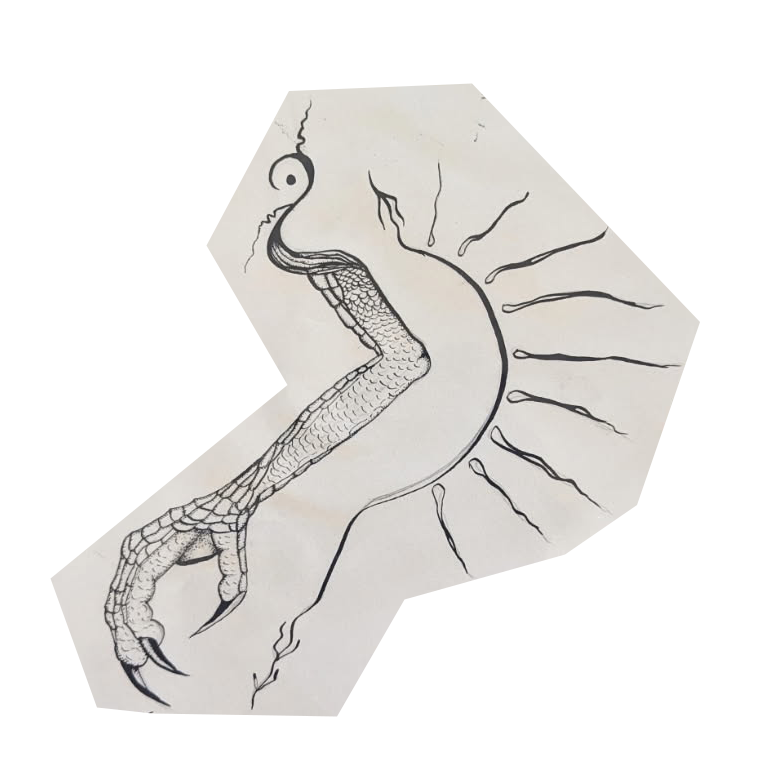 free-wards.png