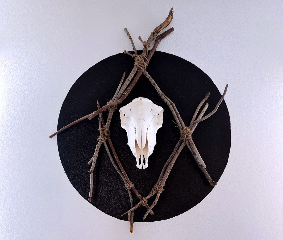 A sheep skull mounted to a wall inside a black circle framed by branches