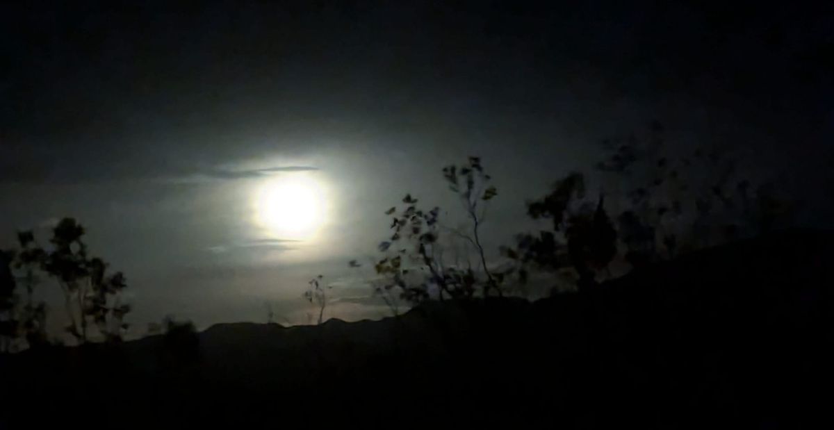 Summer Solstice Embeddings