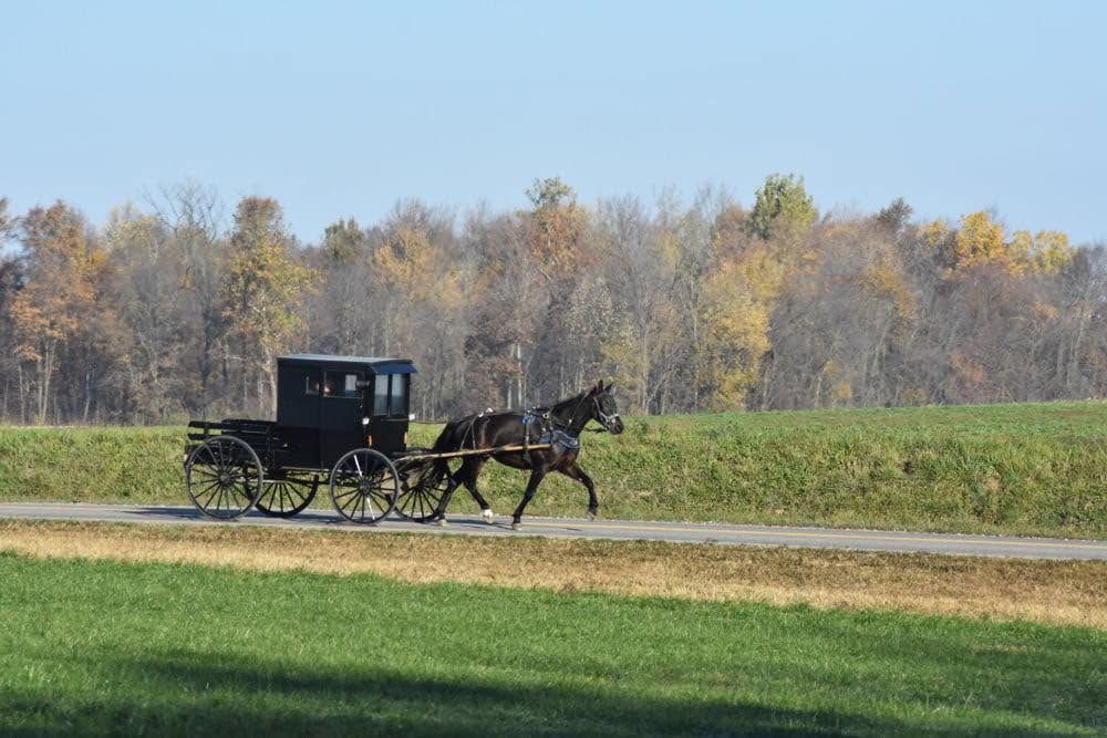 Black Carriages