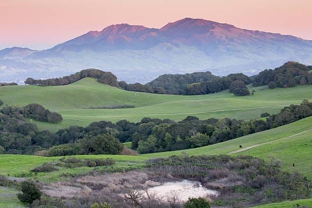 What Does $1 Million Get You in the East Bay? A City-by-City Breakdown for Walnut Creek, Concord, Pleasant Hill and Martinez