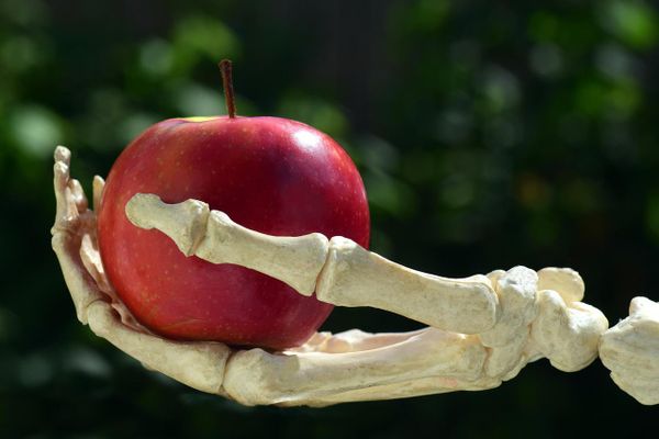 How to Be a Seductress