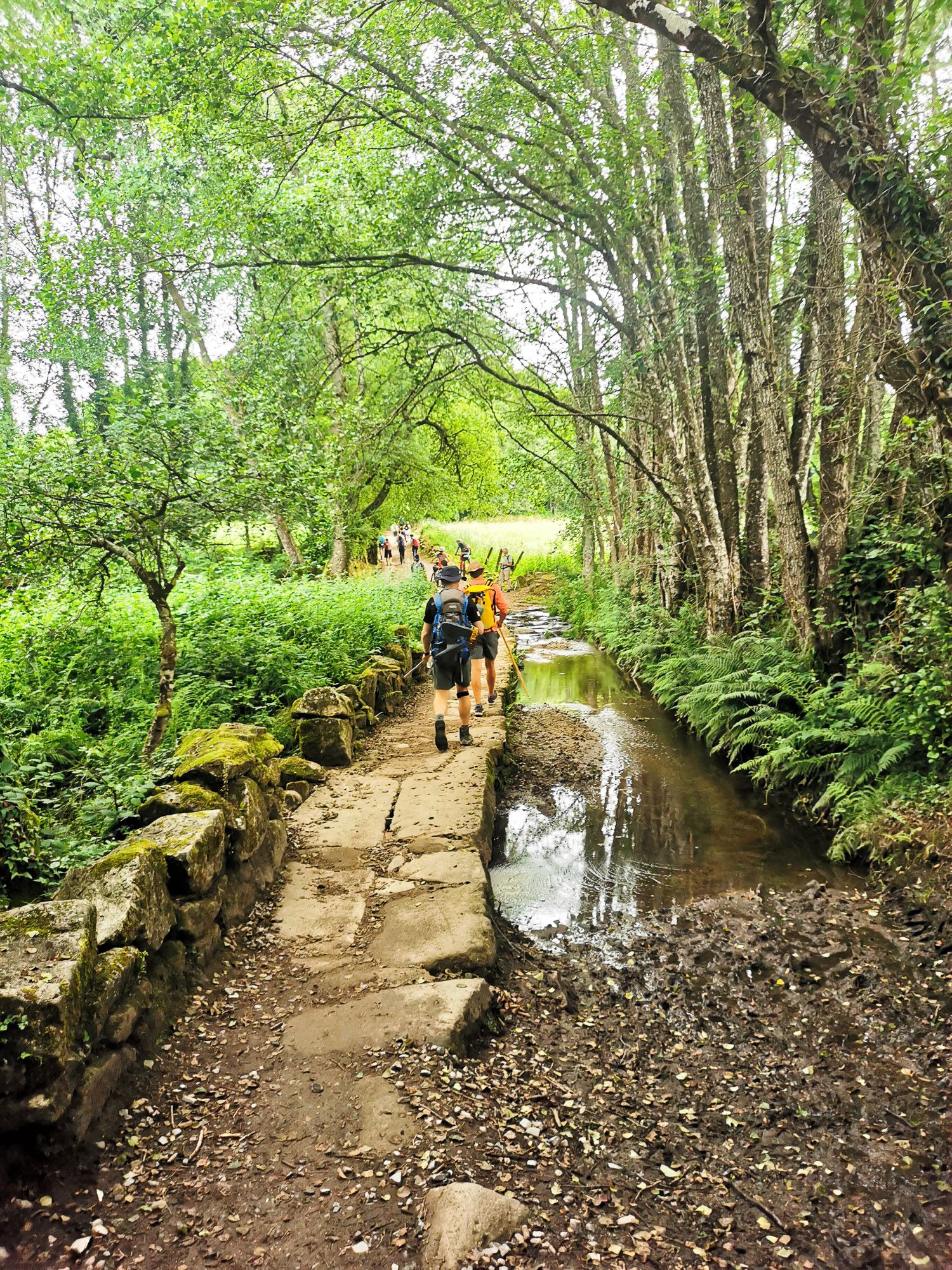 ระหว่างทางเดิน มี Pilgrim เดินเป็นแถวเรียง