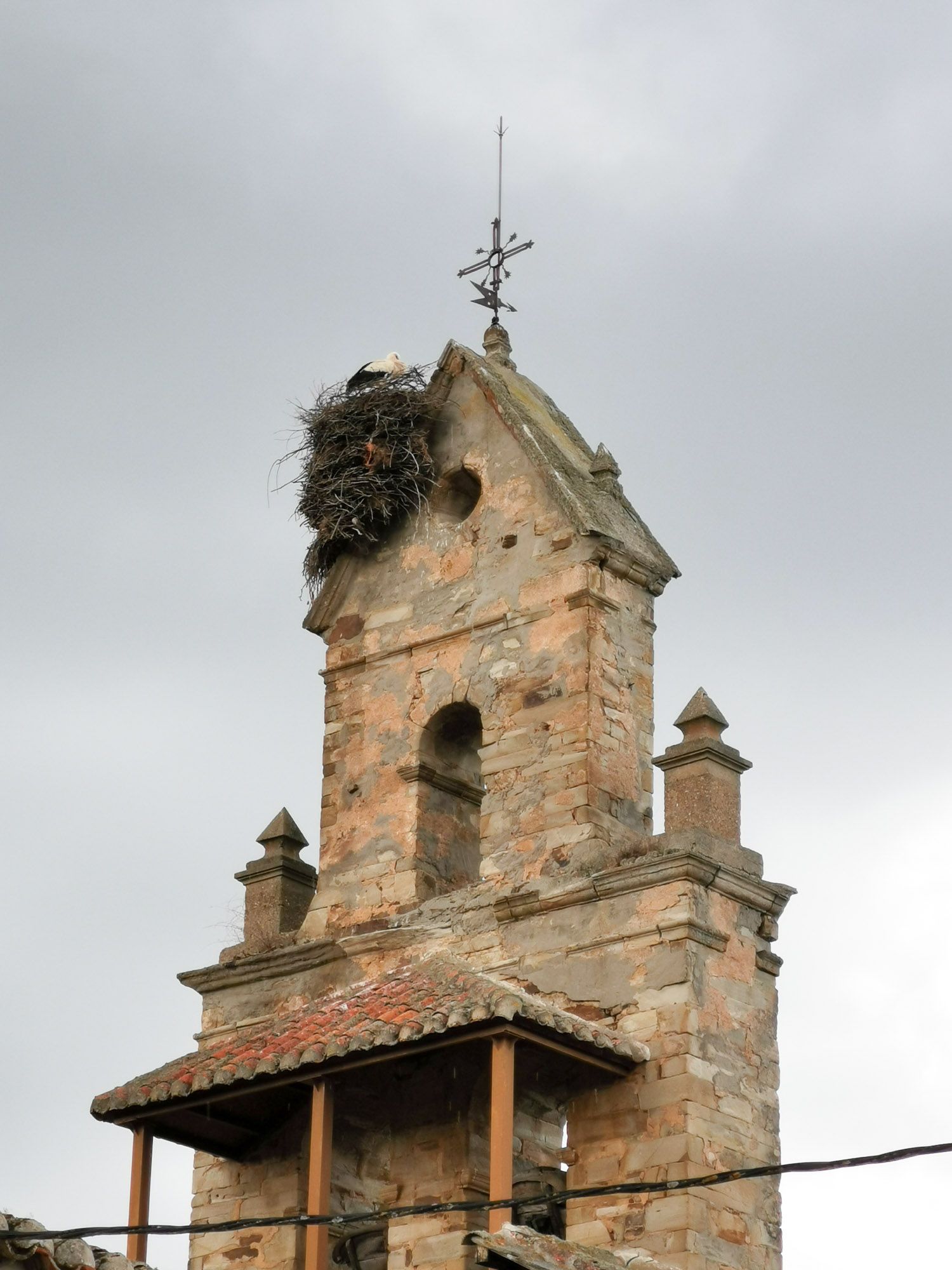 นกกระสาขาวตัวใหญ่ ทำรังอยู่บนยอดหอระฆังของโบสถ์ที่ก่อด้วยหิน