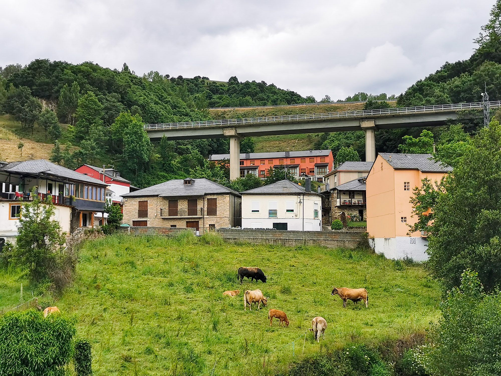 หมู่บ้านมีไฮเวย์ข้ามผ่าน ตึกสีสวย และเลี้ยงวัวกลางหมู่บ้าน