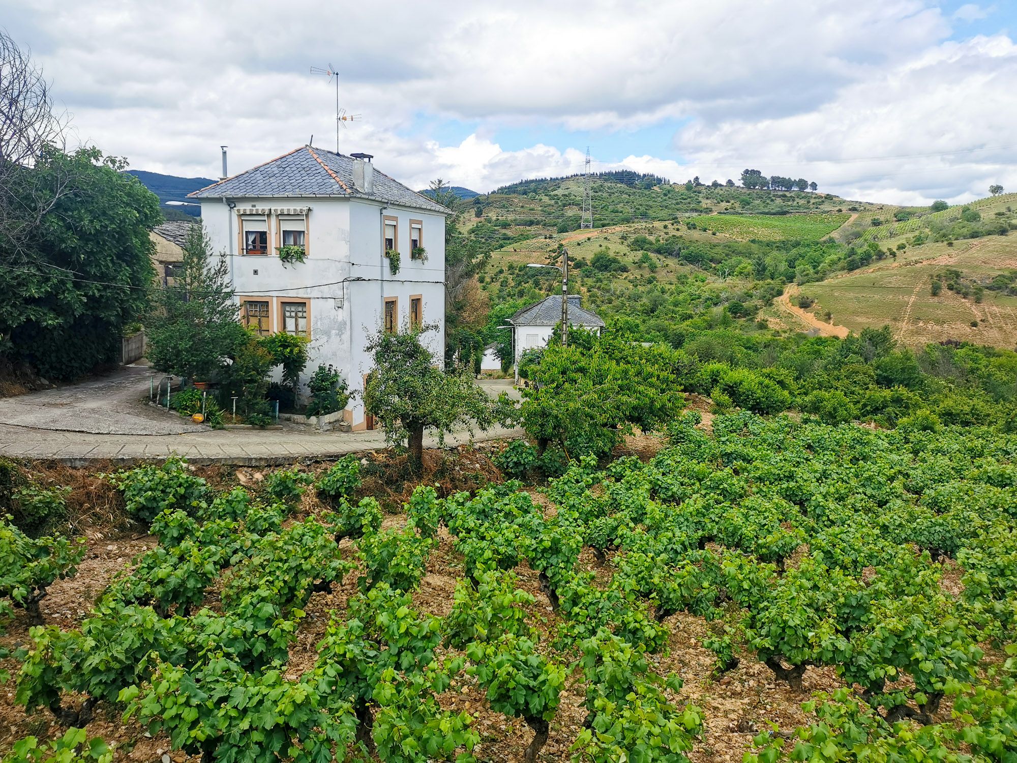 ตึกที่พัก รอบล้อมไปด้วยไร่ไวน์