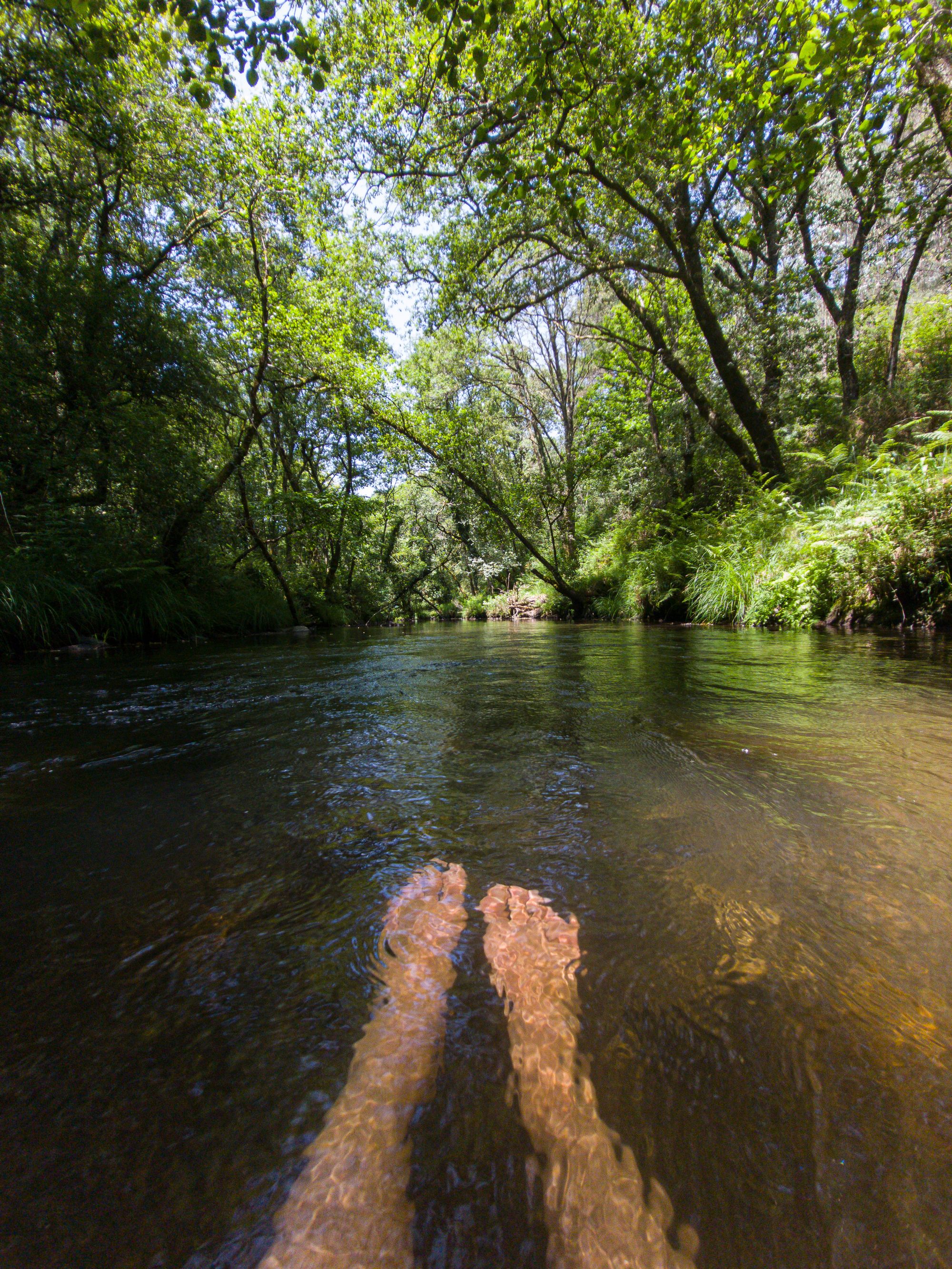 แช่เท้าในลำธาร