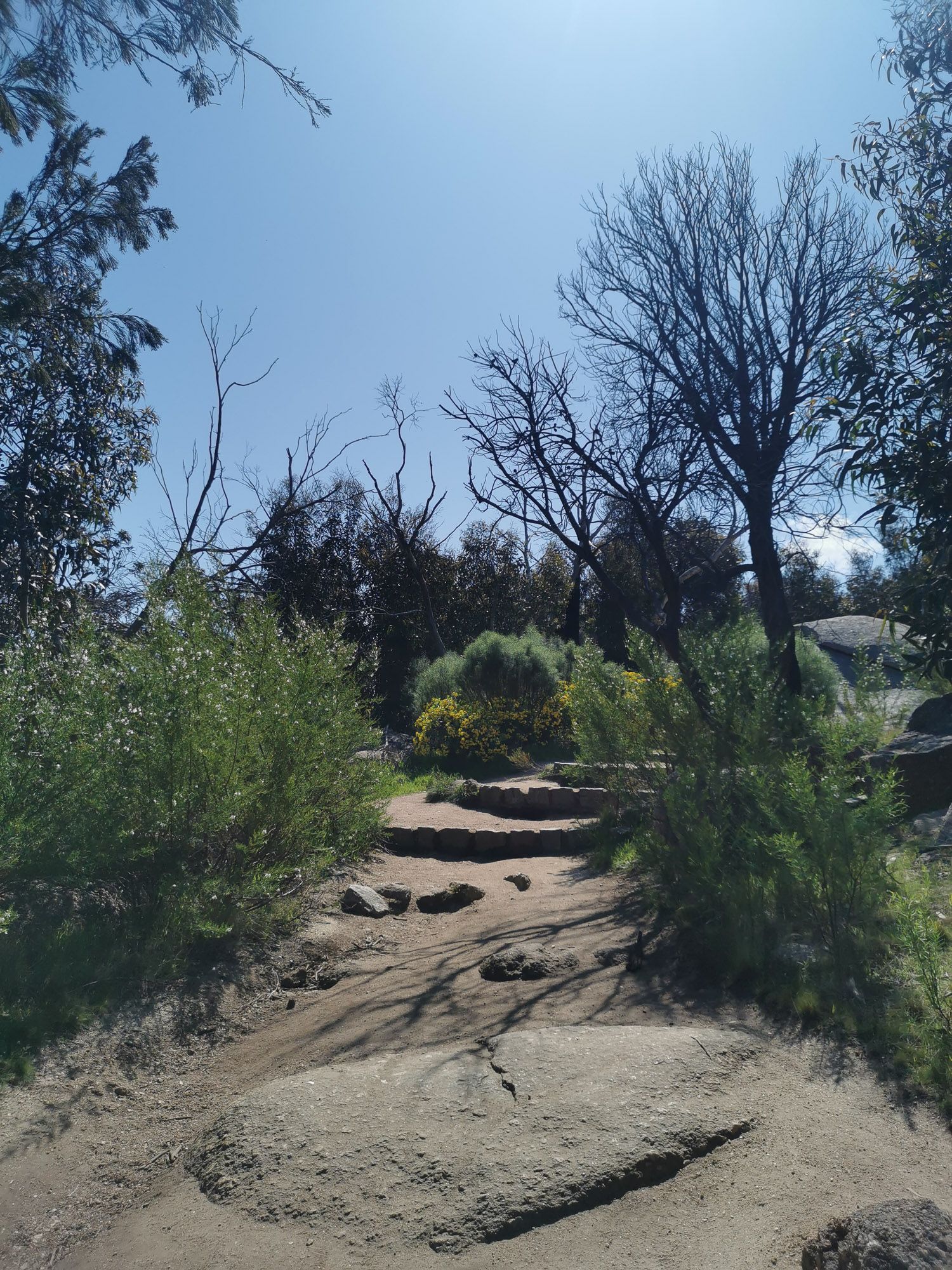 บันไดทางขึ้น Flinder Peak ทำจากดินอัดเป็นขั้น ๆ 