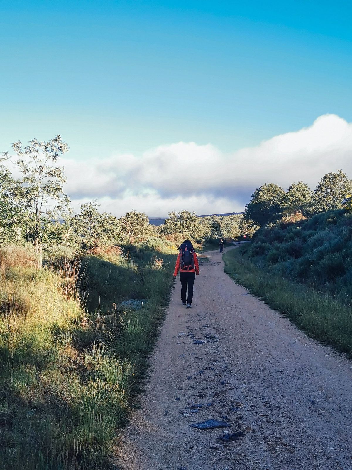 Camino de Santiago
