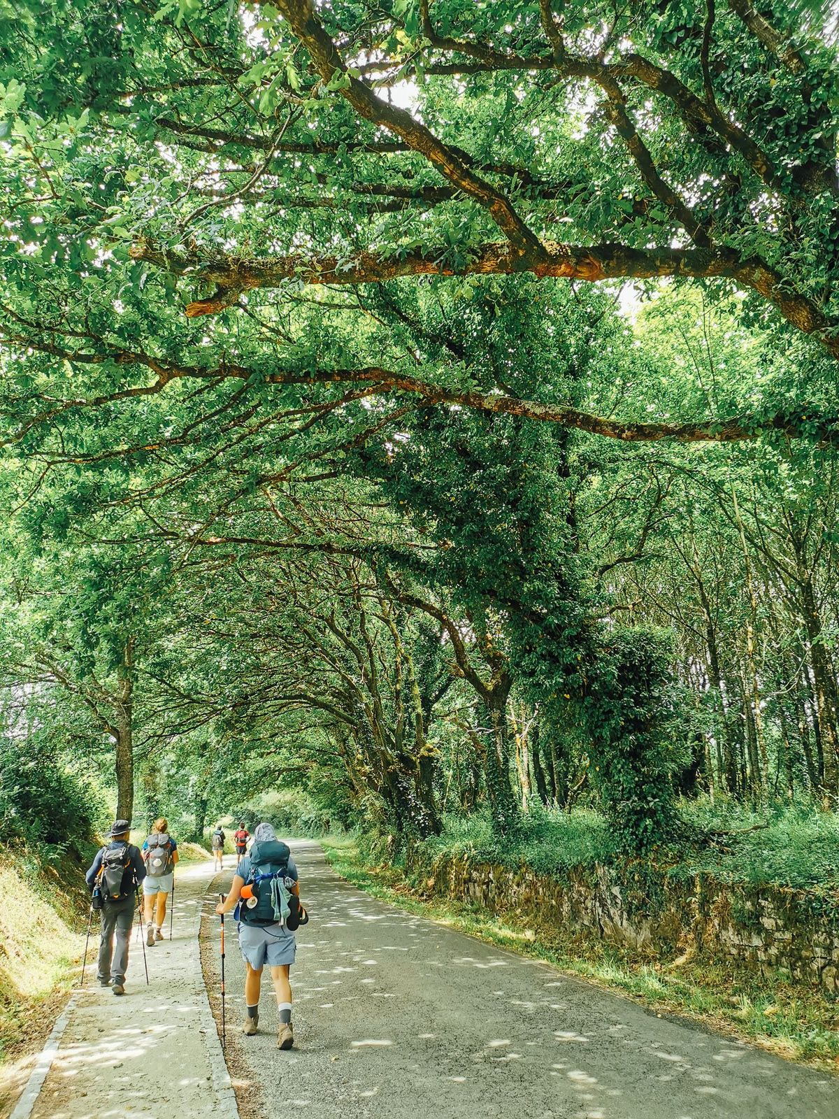 Camino Day 11 : Portomarín - Palas de Rei สนทนากับเพื่อนใหม่ ระยะไกลก็เหมือนใกล้