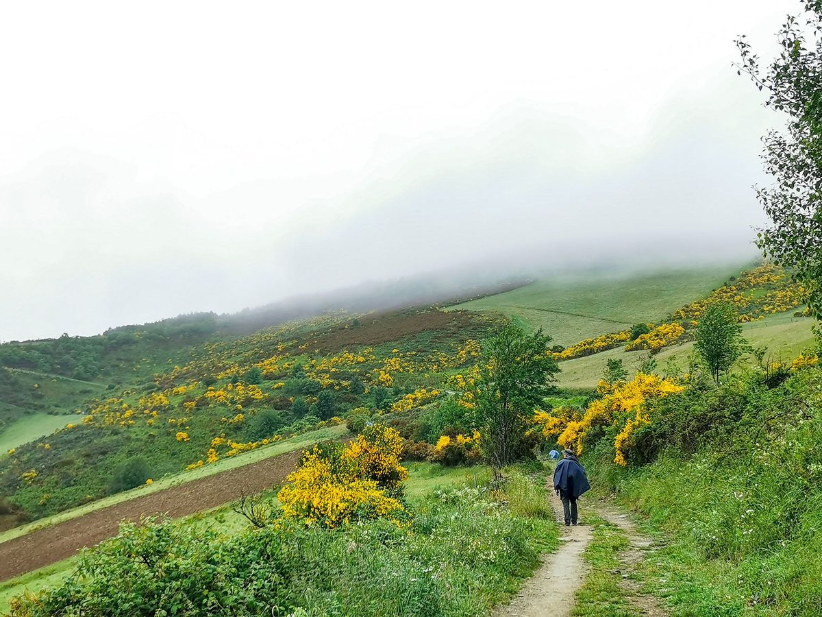 Camino Day 7 : Vega de Valcarce - O Cebreiro ขึ้นเขาอีกลูก ทางเดินสวยมาก แต่...