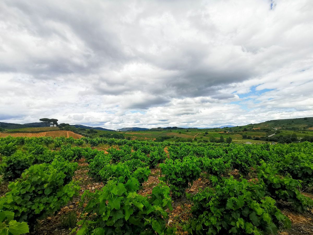 Camino Day 5 : Molinaseca - Villafranca del Bierzo ไกล ไกล๊ ไกล แต่ปลายทางสวยมาก