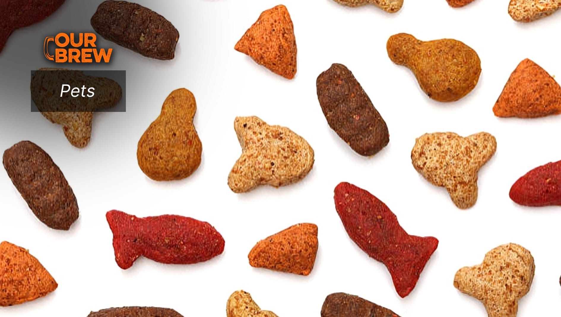 Making Homemade Treats for Your Cat: A Comprehensive Guide With Easy Recipes