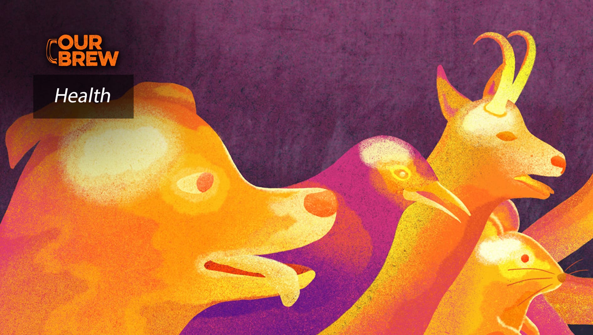They Call It Stupid Hot for a Reason: Heat Muddles Animal Brains