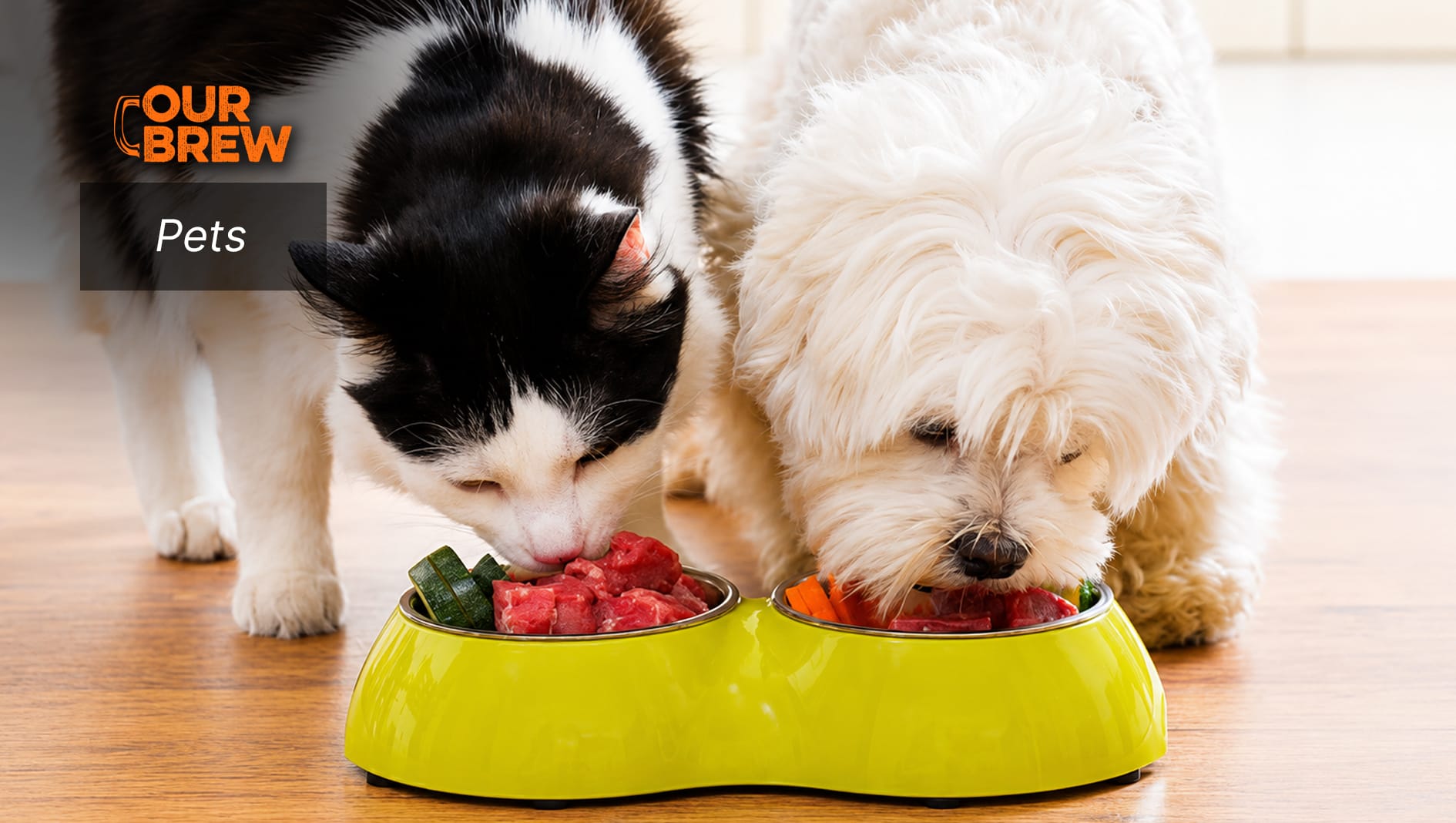 The Evolution of Pet Food