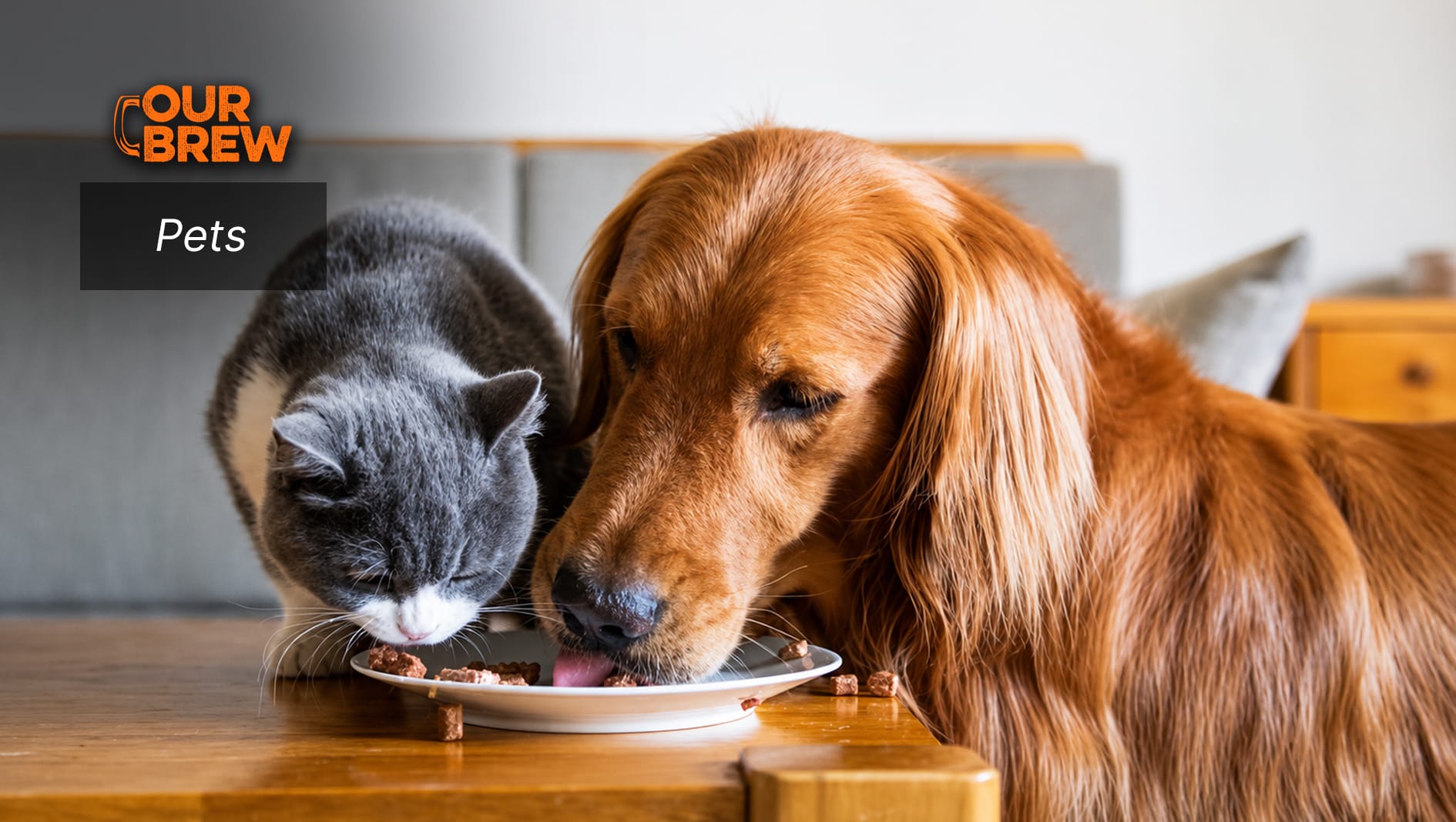 The Role of Gut Microbiome Diversity in Enhancing Pet Health and Longevity